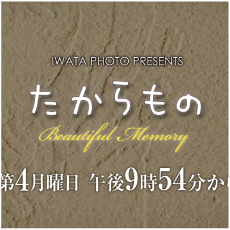 たからもの